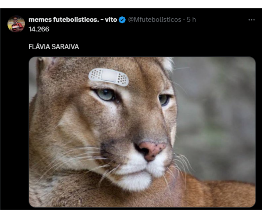 Imagem 822
